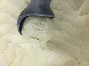 Image of Cempedak Premium Gelato 5L/tub (sold per tub) from Supplybunny.com
