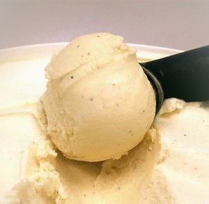 Image of Premium Vanilla  Gelato 5L/tub (sold per tub) from Supplybunny.com