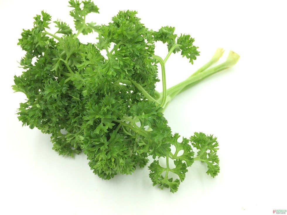 English Parsley Leaves 1kg/pack (sold per pack) — HORECA Suppliers