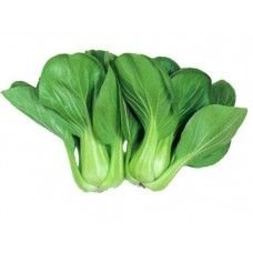Baby Siew Pak Choy Hong Kong Sold Per Kg Horeca Suppliers Supplybunny