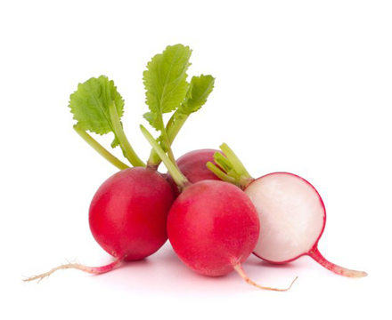 Red Radish Sold Per Kg Horeca Suppliers Supplybunny