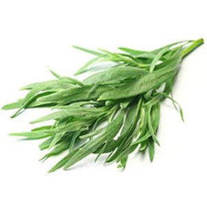 Image of Ameritto Gourmet Tarragon 500g/pack (sold per pack) from Supplybunny.com