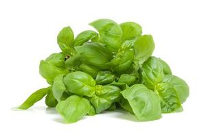 Image of Basil (sold per kg) from Supplybunny.com
