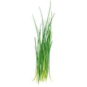 Image of Chives 50g/pack (sold per pack) from Supplybunny.com