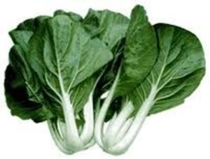 Image of Dai Pak Choy Vegetable, Sawi Putih (sold per kg) from Supplybunny.com