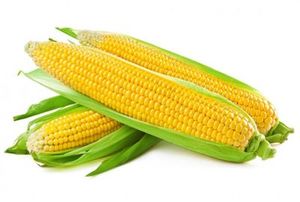 Image of Corn (sold per piece) from Supplybunny.com