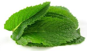 Image of Mint Leaves (sold per kg) from Supplybunny.com