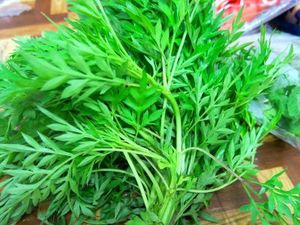 Image of Daun Ulam Raja (sold per kg) from Supplybunny.com