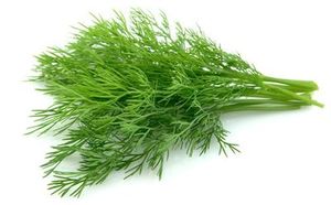 Image of Dill 50g/pack (sold per pack) from Supplybunny.com