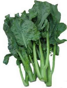 Image of Kailan Vegetable (sold per kg) from Supplybunny.com