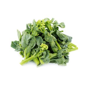Image of Hong Kong Kailan Vegetable (sold per kg) from Supplybunny.com