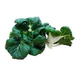 Image of Hong Kong Nai Pak Vegetable (sold per kg) from Supplybunny.com