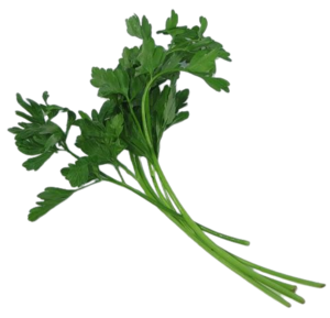 Image of Italian Parsley (sold per kg) from Supplybunny.com