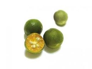 Image of Kalamansi (sold per kg) from Supplybunny.com