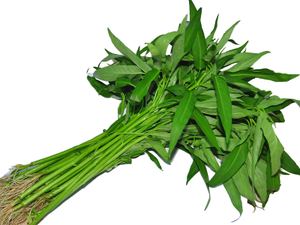 Image of Kangkong Vegetable (sold per kg) from Supplybunny.com