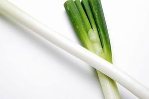 Image of Local Leek (sold per kg) from Supplybunny.com