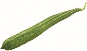 Image of Petola (sold per kg) from Supplybunny.com