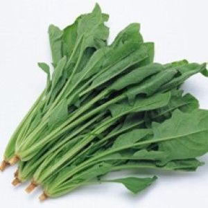 Image of Poh Choy Vegetable (sold per kg) from Supplybunny.com