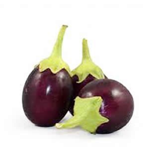 Image of Round Eggplant (sold per kg) from Supplybunny.com