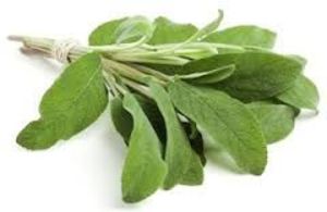 Image of Sage 50g/pack (sold per pack) from Supplybunny.com
