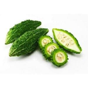 Image of Small Bittergourd (sold per kg) from Supplybunny.com