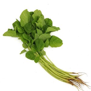 Image of Spinach (sold per kg) from Supplybunny.com