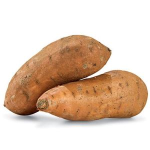 Image of Sweet Potato (sold per kg) from Supplybunny.com