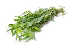 Image of Tarragon (sold per kg) from Supplybunny.com