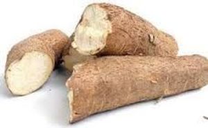 Image of Ubi Kayu (sold per kg) from Supplybunny.com