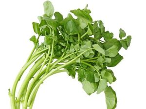 Image of Watercress (sold per kg) from Supplybunny.com