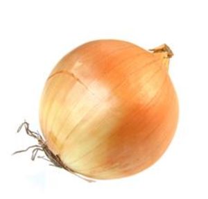 Image of Yellow Onion/Holland (sold per kg) from Supplybunny.com