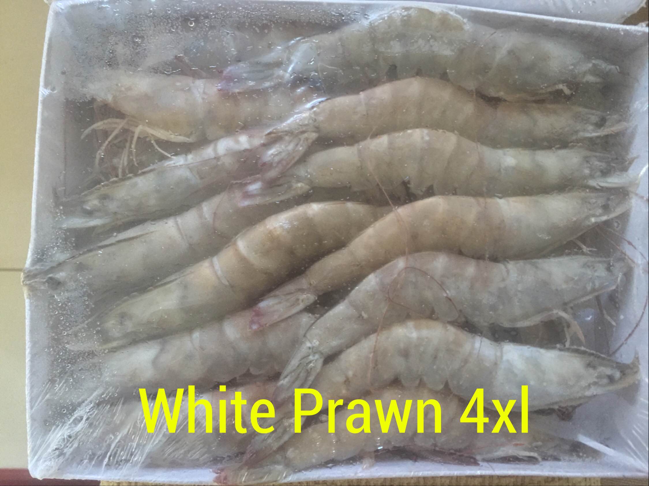 White Prawn Size 4xl 1kg Pack 10 Packs Per Carton Horeca Suppliers Supplybunny