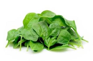 Image of Baby Spinach Cameron (sold per kg) from Supplybunny.com