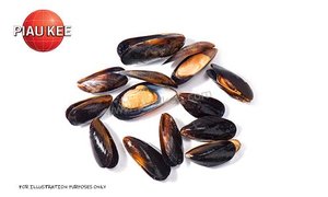 Image of Frozen Whole Shell Mussel - 908gm/pack (sold per pack) from Supplybunny.com