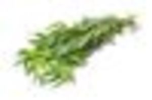 Image of Tarragon 50g/pack (sold per pack) from Supplybunny.com