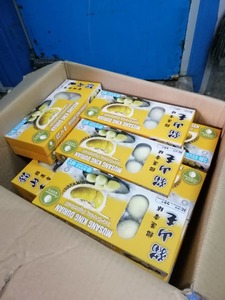 Image of Durianlicious Durian Ice Cream Mochi 10 pieces/pack (40 packs per carton) from Supplybunny.com