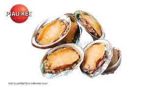 Image of Frozen Abalone With Shell (6pcs per pack) +-250gm/pack (sold per pack) from Supplybunny.com