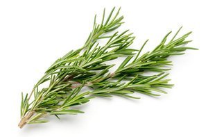 Image of Dried Rosemary 500g/pack (sold per pack) from Supplybunny.com