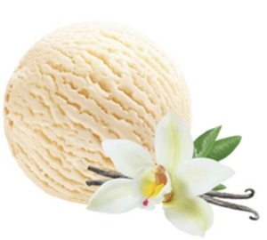 Image of Gelato Premium Vanilla 5L/Tub (sold per tub) from Supplybunny.com