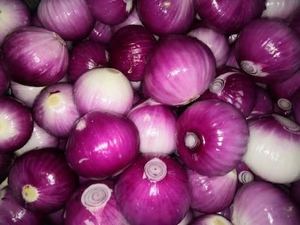 Image of Red Onion China Peeled (sold per kg) from Supplybunny.com