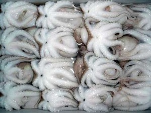 Image of Frozen Baby Octopus Cut  500gm/pack x 10 packs per Carton (Sold per Carton) from Supplybunny.com
