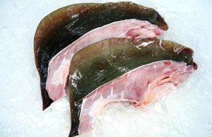 Image of Frozen Ikan Pari Meat (Stingray)  1-3kg/pc (Sold per Kg) from Supplybunny.com