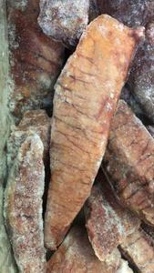 Image of Frozen Tuna Fish Roll   (Sold per 10kg Carton) from Supplybunny.com