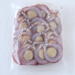 Image of Frozen Half Shell Scallop  26-30 pcs per 500g/pack x 20 packs per Carton (Sold per Carton) from Supplybunny.com