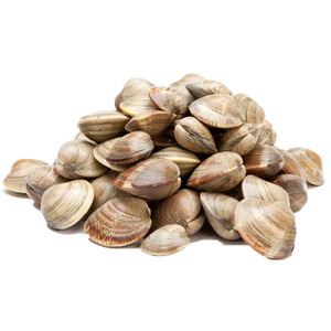 Image of Frozen Lala  100-130 pcs per 1kg/pack x 10 packs per Carton (Sold per Carton) from Supplybunny.com