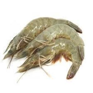 Image of Frozen Vannamei Prawn ( HOSO)  81-90 pcs per Kg  (Sold per Kg) from Supplybunny.com