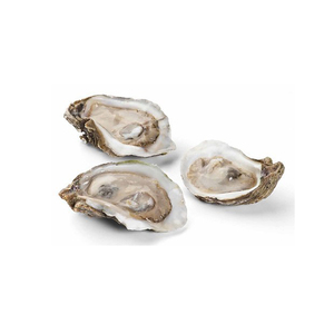 Image of Frozen Half Shell Oyster  8-10cm/pc  12pcs/pack x 10 packs per Carton (Sold per Carton) from Supplybunny.com