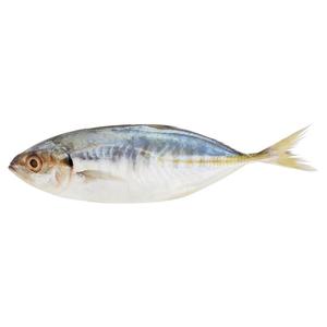 Image of Frozen Ikan Selar Papan (Blackfin Scad) 4-6 pcs per Kg  (Sold per 10kg Carton) from Supplybunny.com