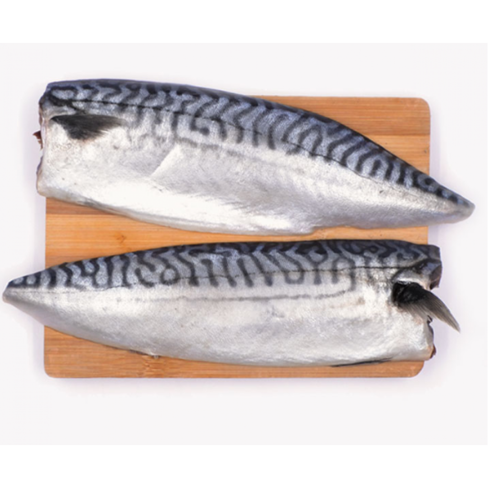 Frozen Norway Saba Mackerel Fillet 450500g/pkt (Sold per Pkt) — HORECA