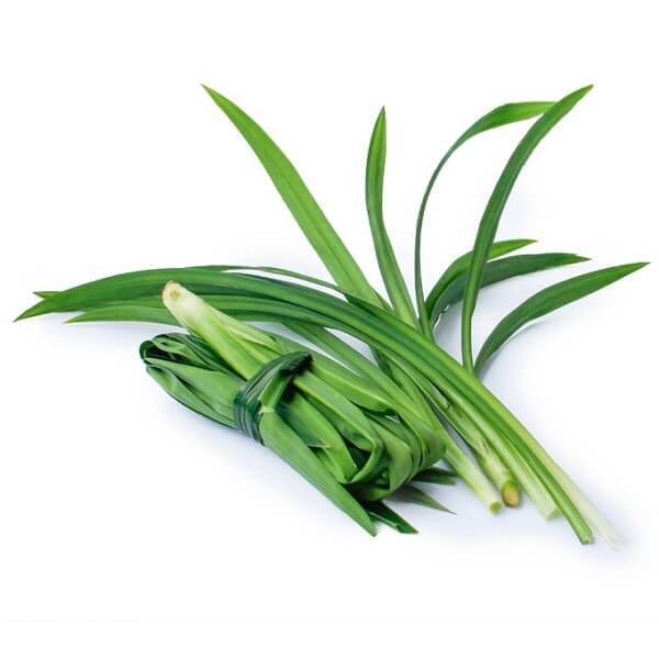 Pandan Leaves 100g/pack (Sold per Pack) — HORECA Suppliers Supplybunny